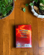 Load image into Gallery viewer, Allegiant