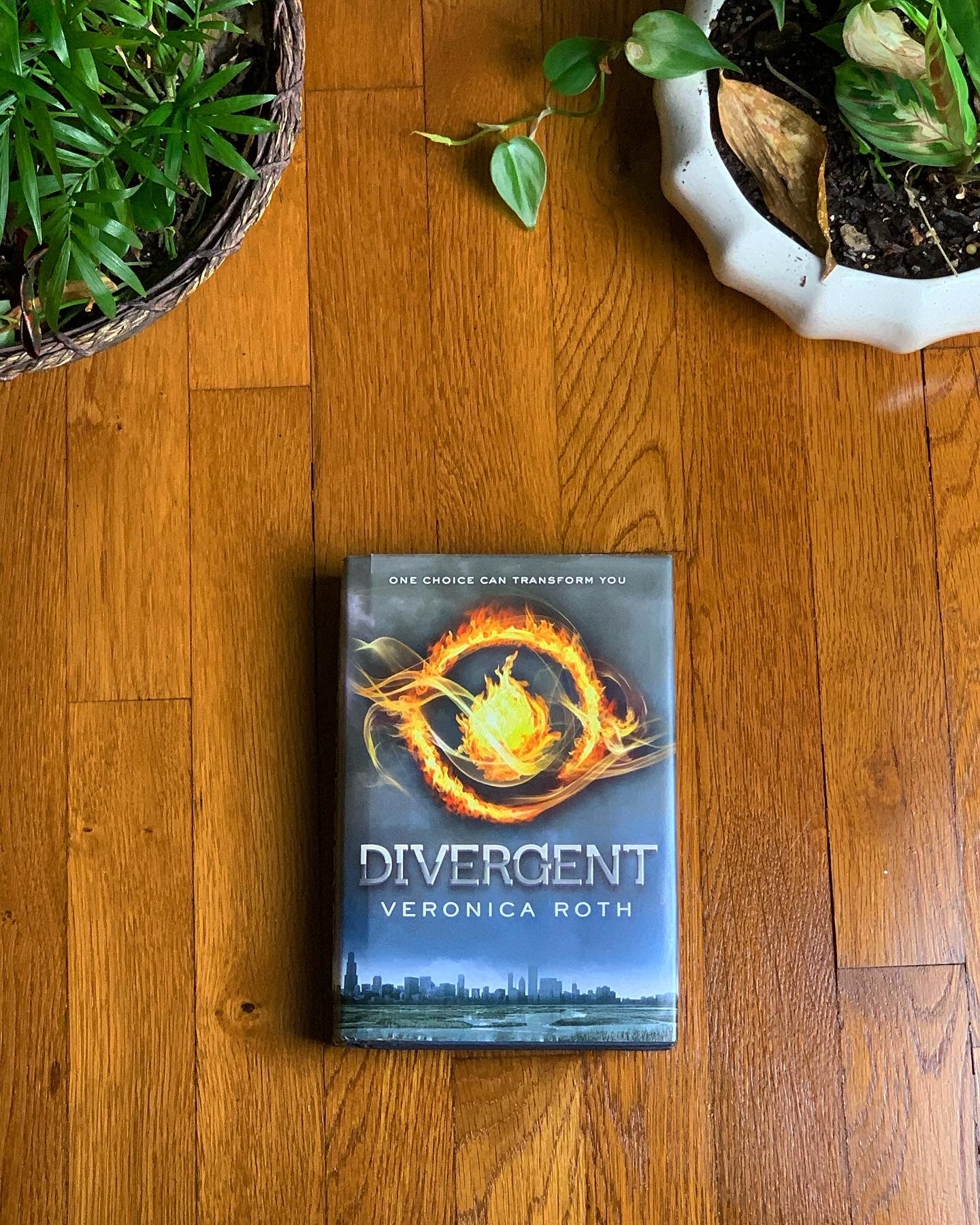 Divergent – MaddyBooks.com